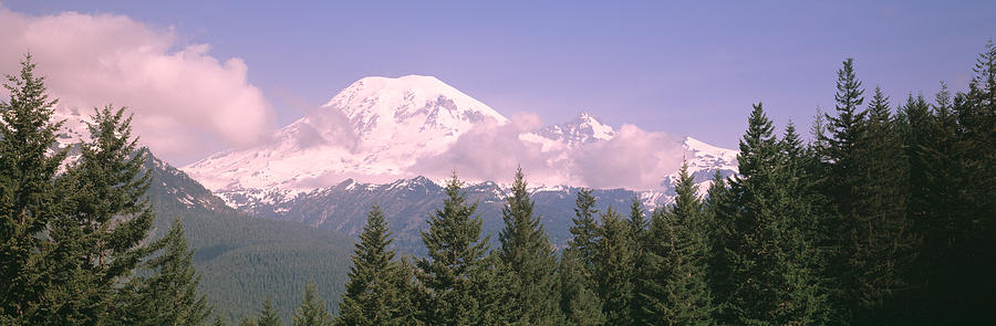 Mt Ranier Mt Ranier National Park Wa Photograph by Panoramic Images