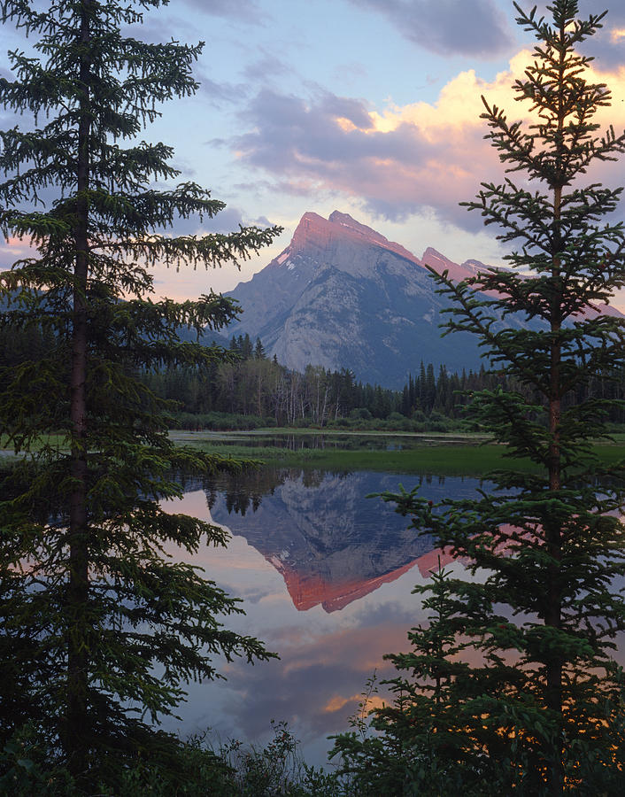 1M3310-Mt. Rundle Reflect Photograph by Ed  Cooper Photography