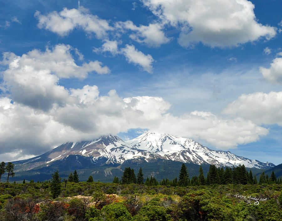 Mt Shasta Clouds Photograph by Terry Anderson - Fine Art America