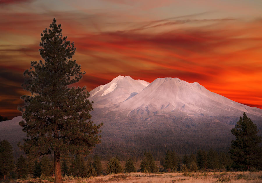 Mt Shasta Fire in the Sky Photograph by Randall Branham
