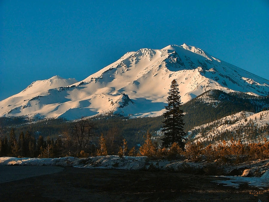 Mt. Shasta Photograph by Wendy McKennon