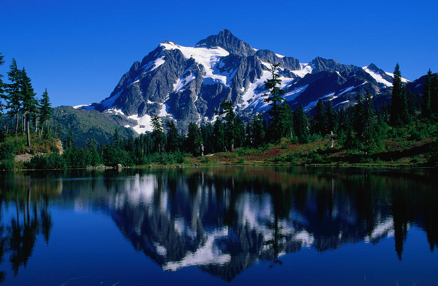 Mt Shuksan Is Reflected On Picture Lake Photograph by John Elk