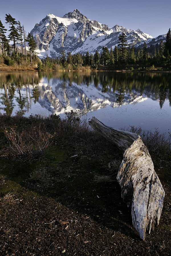 Washington Photograph - Mt. Shuksan Log by Paul Conrad