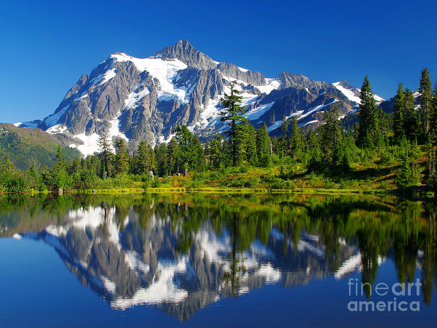 Nature Photograph - Mt. Shuksan Reflection by Douglas Taylor