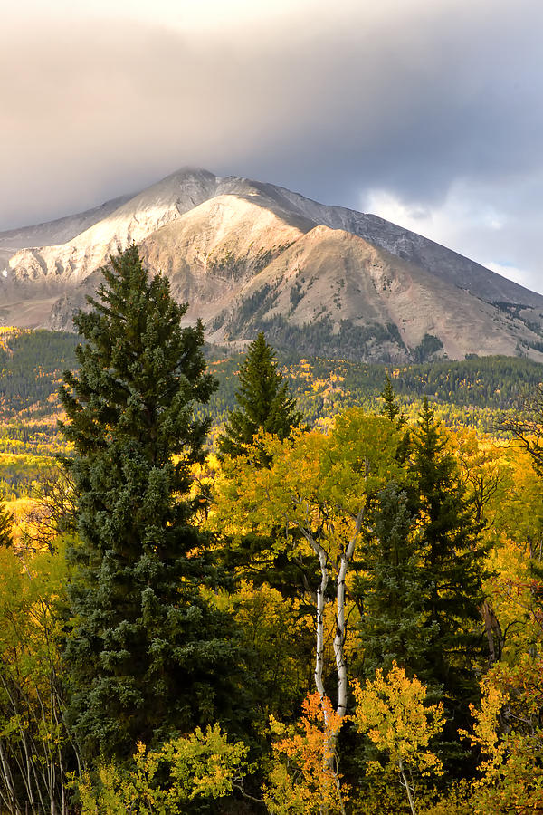 Mt Sopris Carbondale Colorado in the Fall season Photograph by Ronda Kimbrow