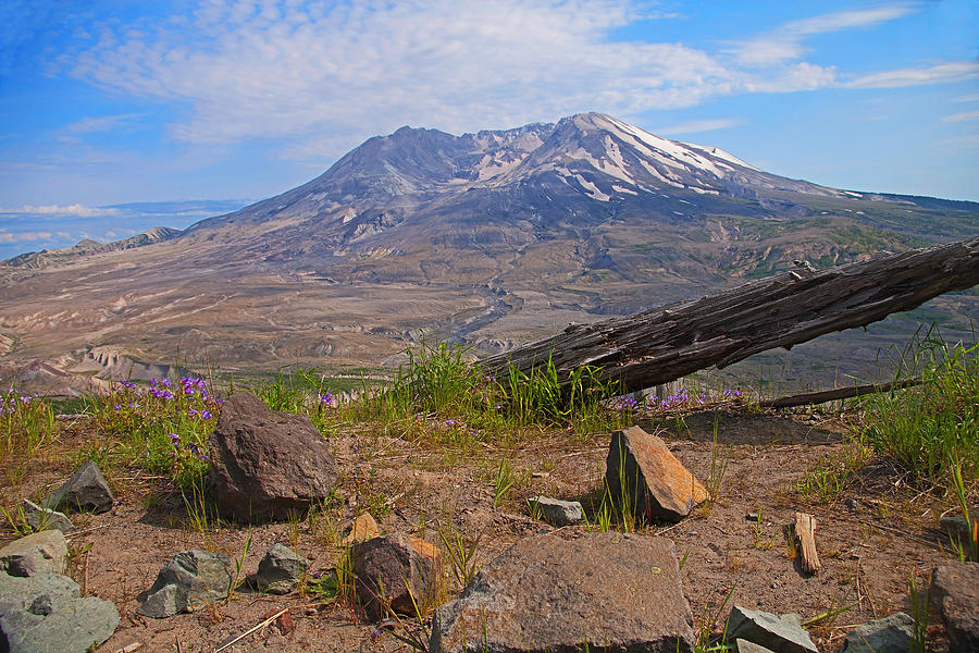 Landscape Photograph - Mt. St. Helens From Johnston Ridge Observitory by Rich Walter
