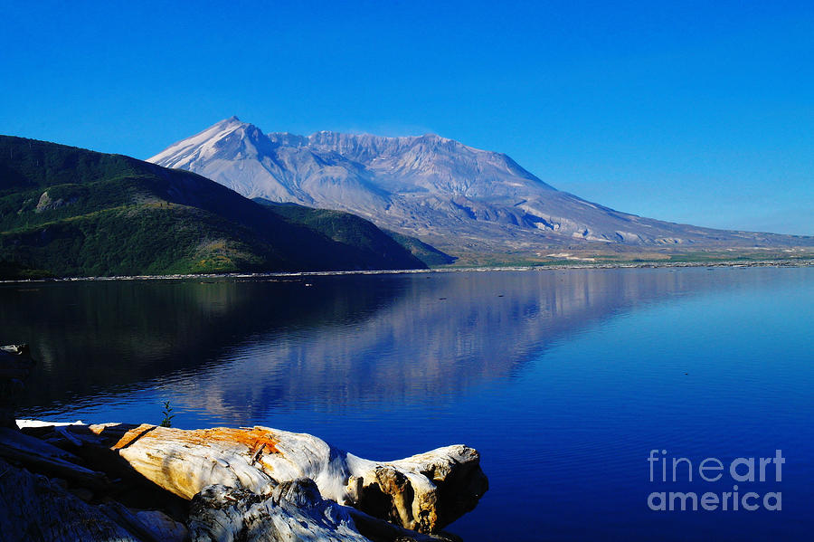 Mt St Helens Reflecting Into Spirit Lake Photograph