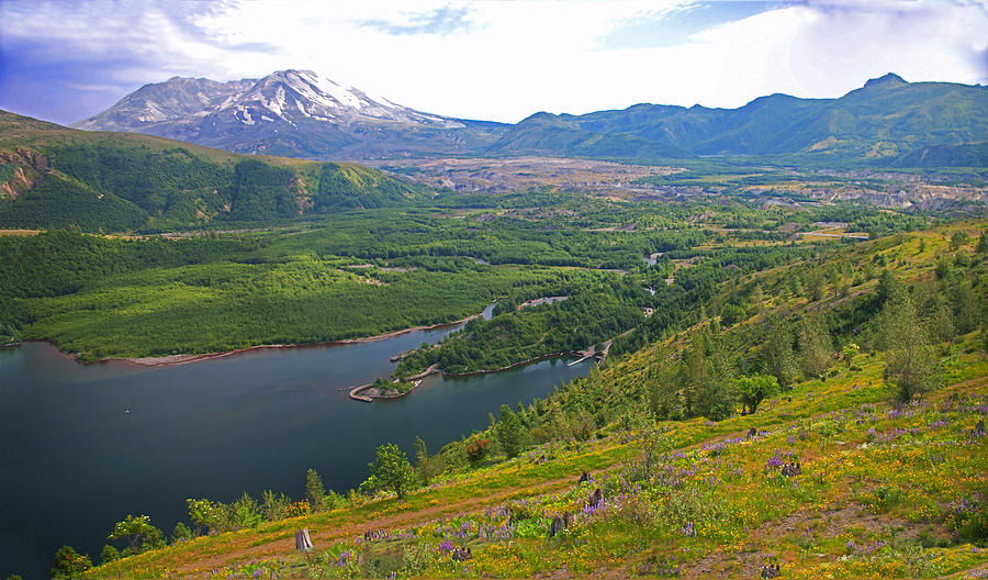 Landscape Photograph - Mt. St. Helens Volcanoes And Coldwater Lake by Rich Walter