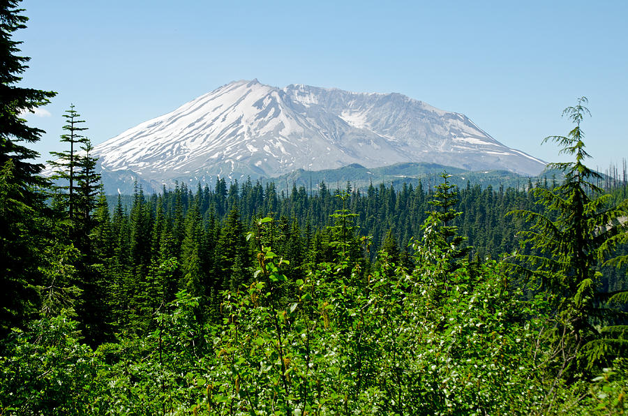 Mt. St. Helens Photograph by Tikvahs Hope