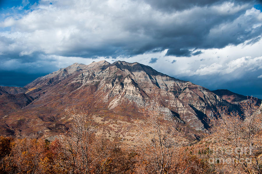 Mt. Timpanogos from Cascade Meadow in Fall Photograph by Gary Whitton