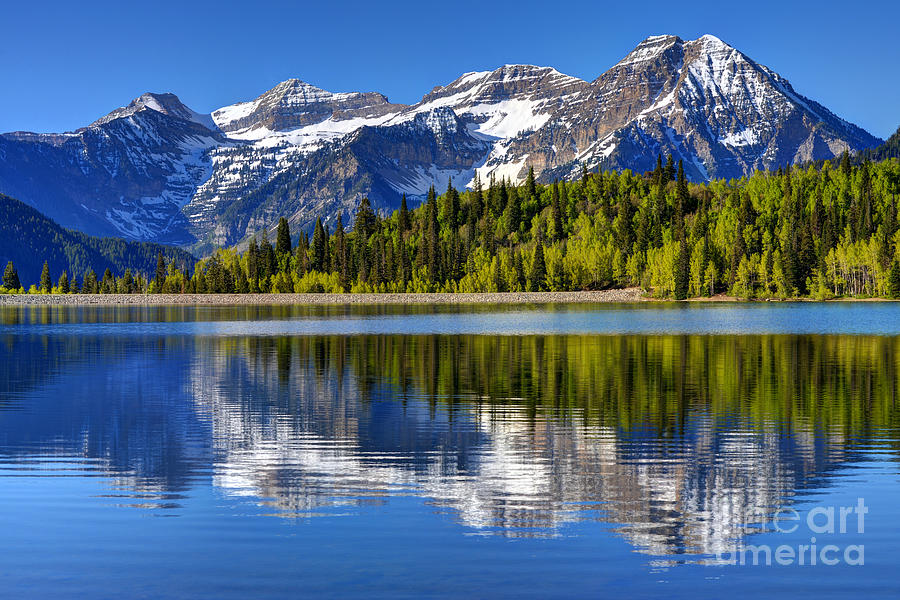 Mt. Timpanogos Reflected in Silver Flat Reservoir - Utah Photograph by Gary Whitton
