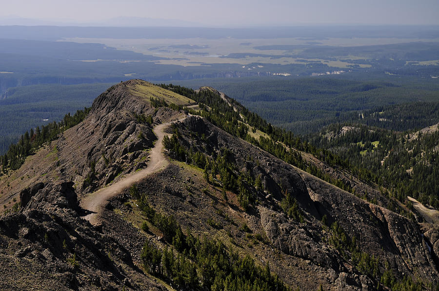 Mt. Washburn Peak Photograph by Frank Burhenn - Fine Art America