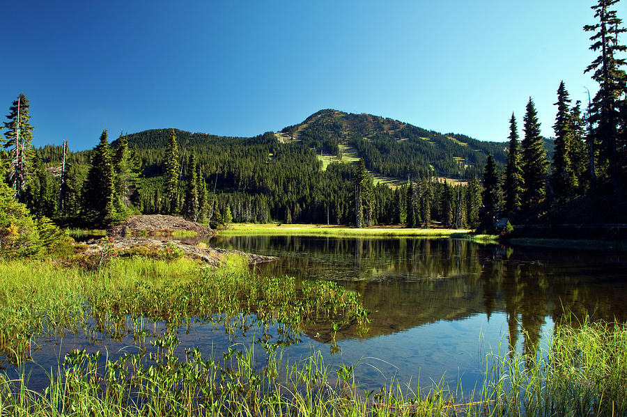 Mt Washington Summer Photograph by Claude Dalley