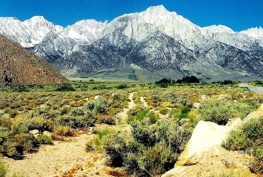 Mt Whitney Photograph by Charles Robinson