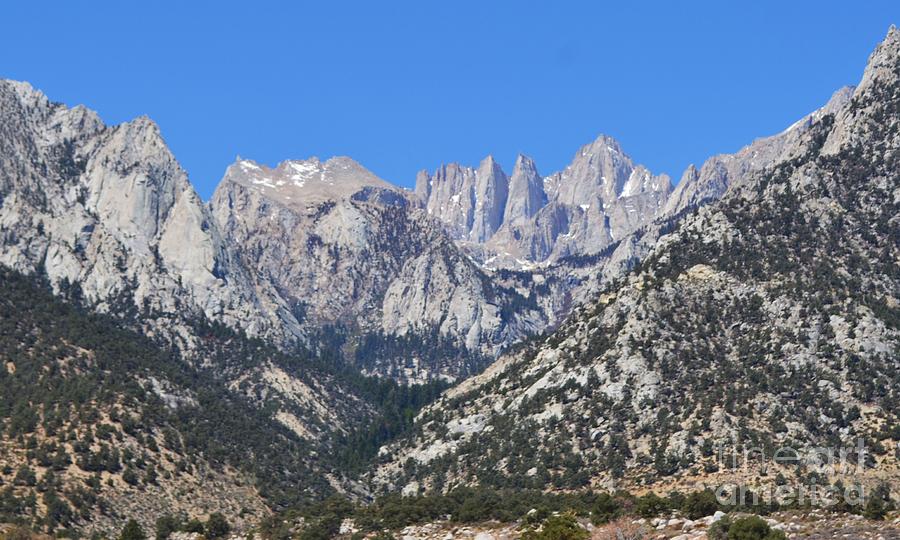 Mt. Whitney Photograph by Mary Rogers