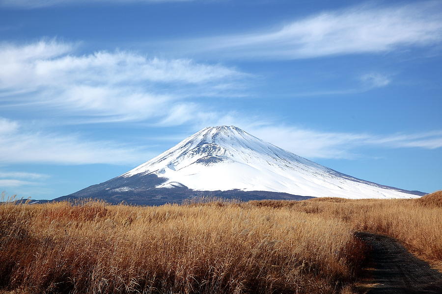 Mt.fuji Photograph by Child Food Sky Japan