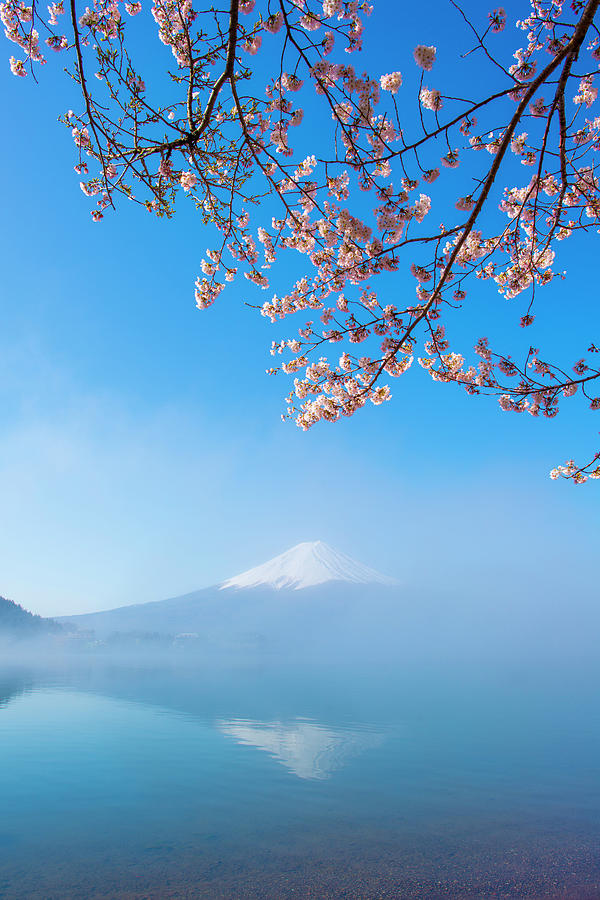 Mt.fuji Misty Photograph by Shin Okamoto