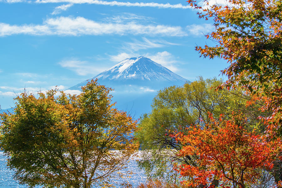 Mt.fuji With Autumn Foliage Photograph by Alpiniste074