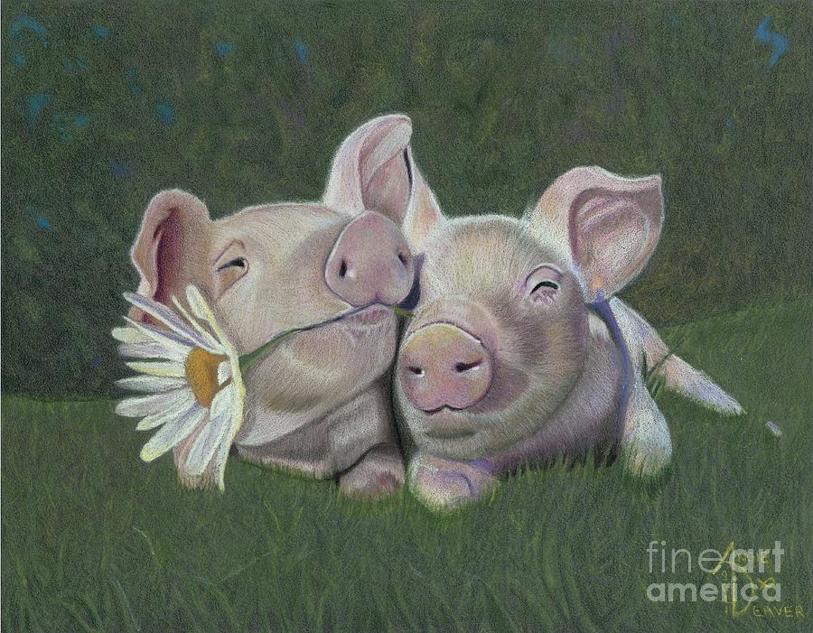 Pig Drawing - Mu and Shu by Angie Deaver