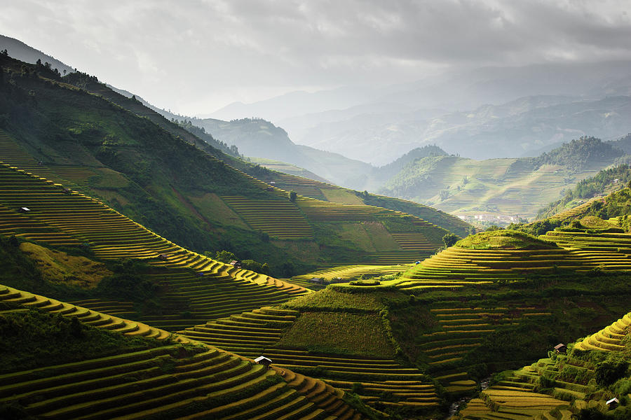 Mu Cang Chai by Lethang Photography