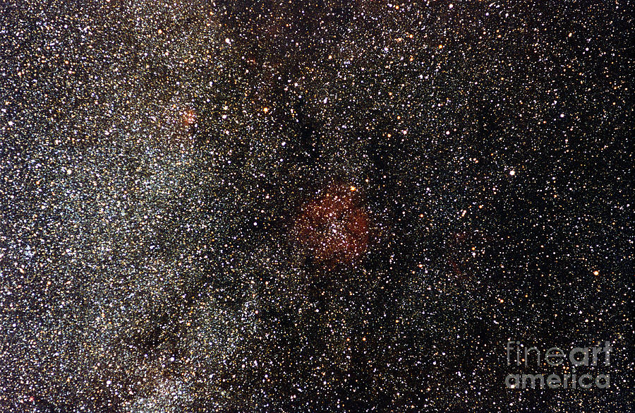 Mu Cephei And Ic1396 Nebula Region Photograph by John Chumack