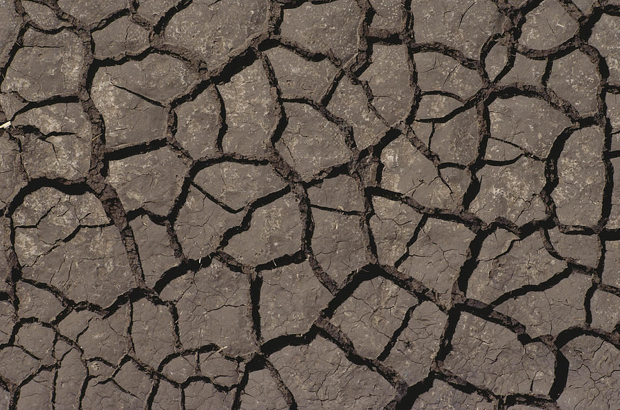 Mud Cracks Photograph by A.b. Joyce