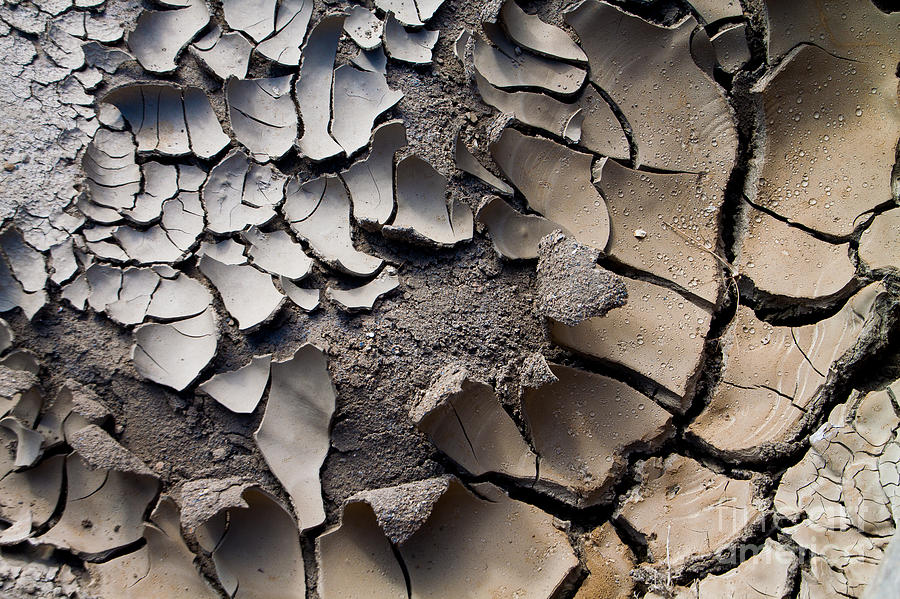 Mud Cracks Photograph by Jim McCain