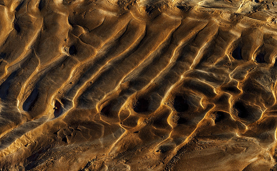 Mud Flats Five Photograph by Gary Warnimont