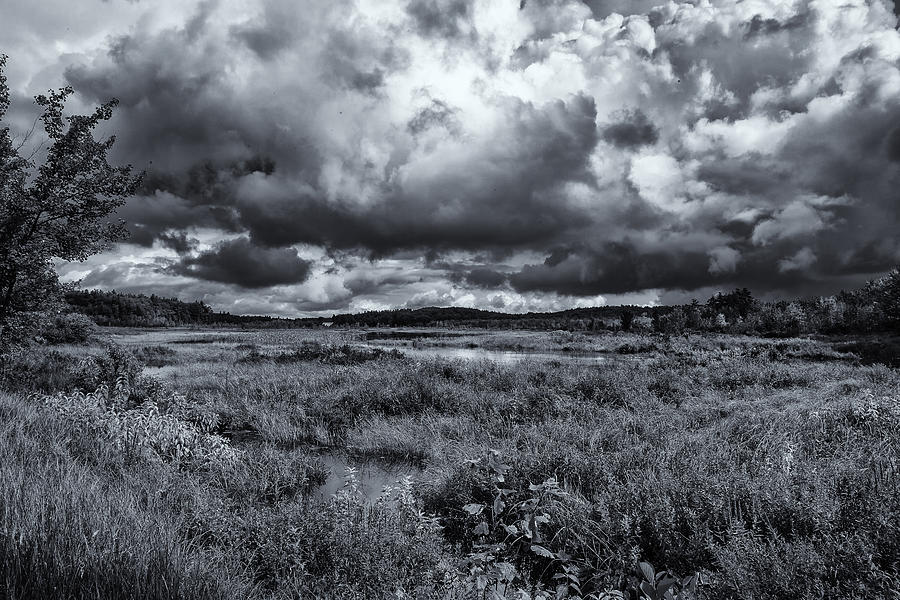 Mud Pond Clouds Black and White Photograph by Tom Singleton