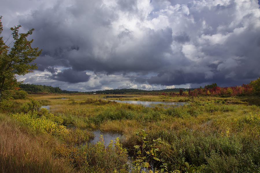 Mud Pond Clouds Photograph by Tom Singleton