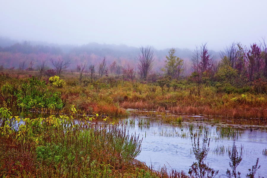 Mud Pond In Autumn Photograph by Tom Singleton