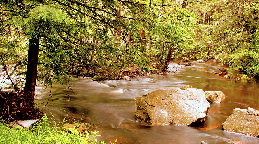 Mud Run Pocono Mountain Stream Pennsylvania Photograph by A Macarthur