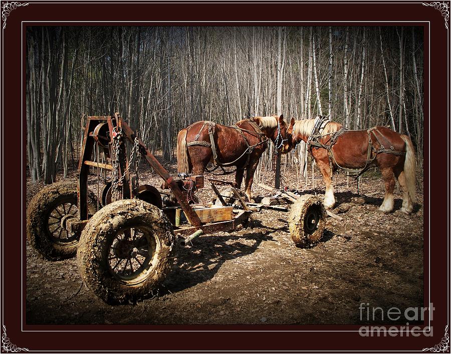 Mud Season - with border Photograph by Joy Nichols
