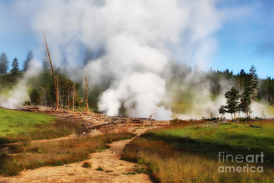 Yellowstone National Park Photograph - Mud Volcano and Sulphur Caldron  by Teresa Zieba