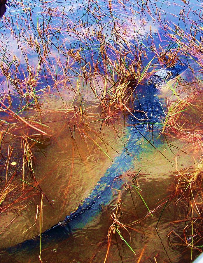 Muddied Water Photograph