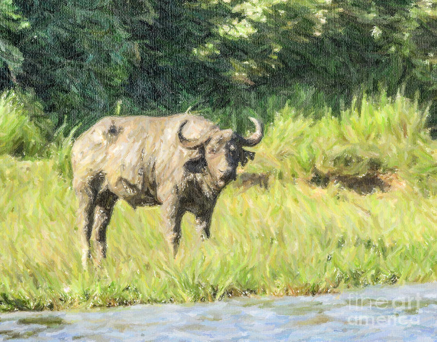 Muddy Buffalo Syncerus caffer River Nile Uganda Digital Art by Liz Leyden