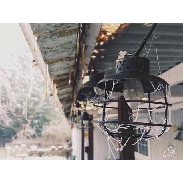 Muddy Rooftop Icicles And Webbed Lights Photograph by Carly McClung