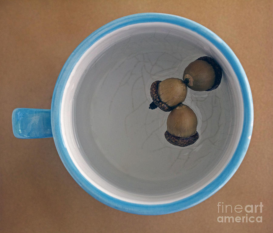 Mug And Finials 1 Photograph by Sebastian Mathews Szewczyk