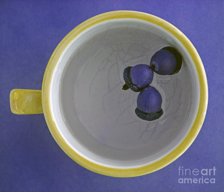 Mug And Finials 4 Photograph by Sebastian Mathews Szewczyk