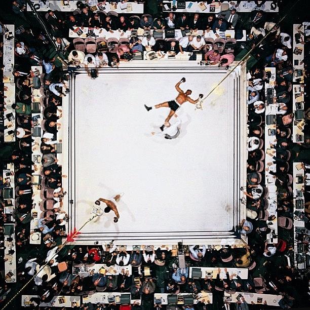 Muhammad Ali Knocks Out Cleveland Photograph by Evan Kelman