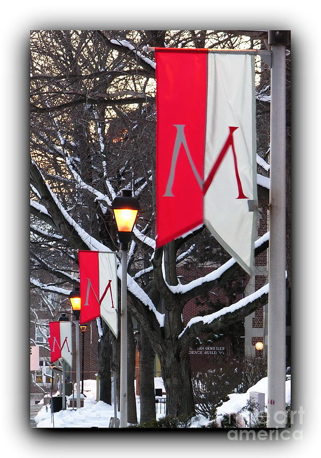 Muhlenberg College Banners Bordered Photograph by Jacqueline M Lewis