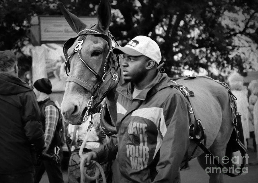 New Orleans Photograph - Mule and Handler - Krewe du Vieux by Kathleen K Parker