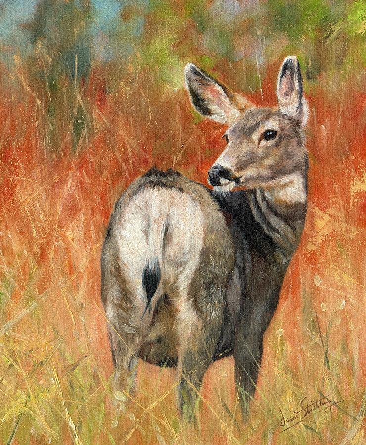 Deer Painting - Mule Deer by David Stribbling