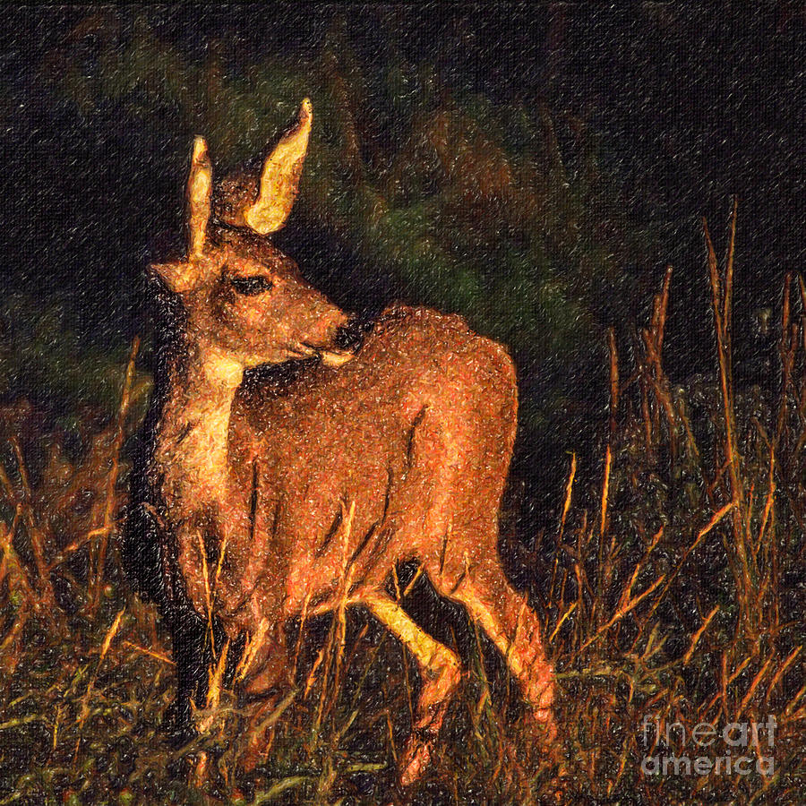 Deer Digital Art - Mule Deer Odocoileus hemionus by Liz Leyden