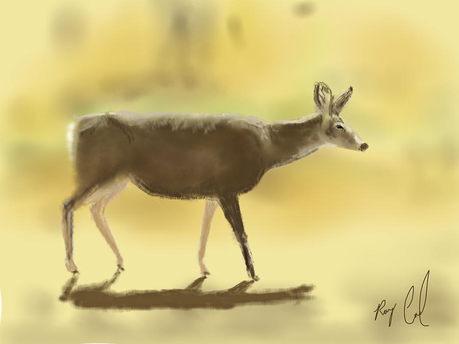 Mule Deer - Sketched on an iPad Digital Art by Ray Cassel - Fine Art ...