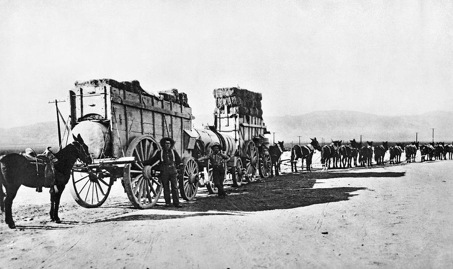 Mule Train Hauling Cargo Photograph by Underwood Archives