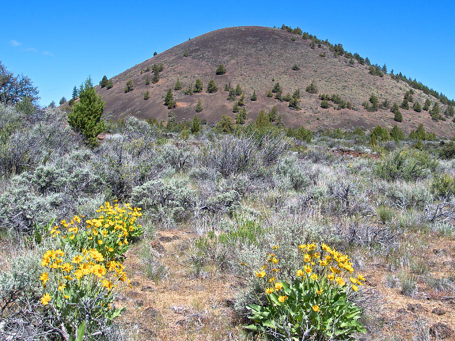 Mules Ears and Schonchin Butte in  Lava Beds National Monument, California Photograph by Ruth Hager