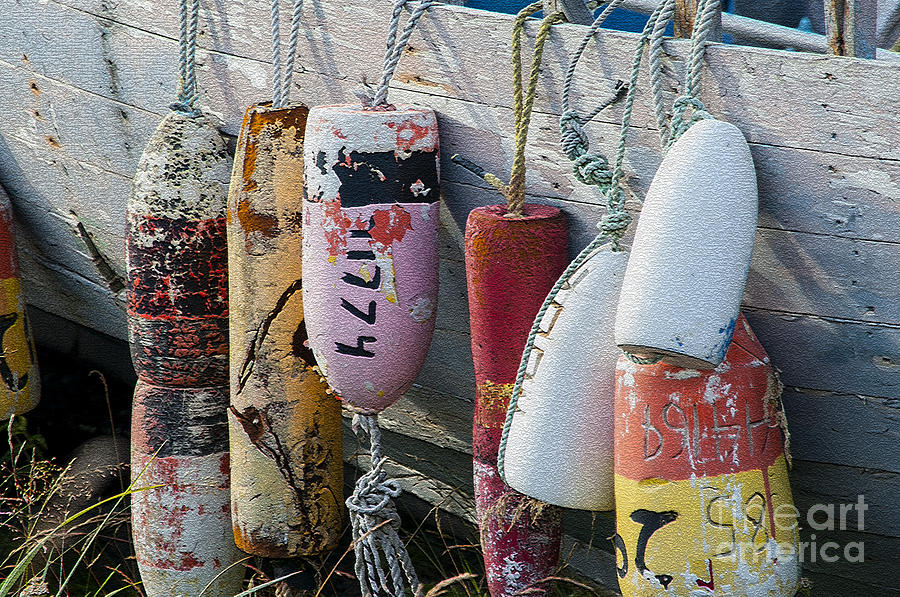 Multi colored buoys hanging on boat  Photograph by Dan Friend