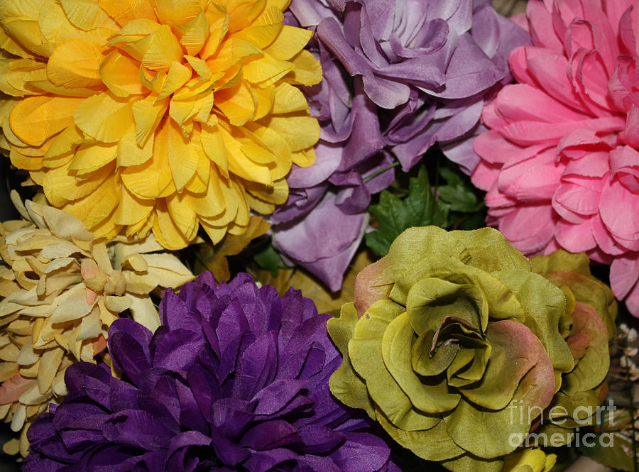 Multi Colored Floral Arrangement Photograph by John Telfer
