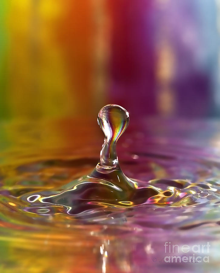 Multi Colored Water Drop Photograph by Linda Blair